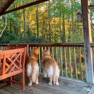 Meet your Posher, Holland